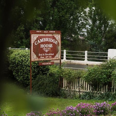 Bed and Breakfast Cambridge House Breakfast & Bed Geeveston Zewnętrze zdjęcie