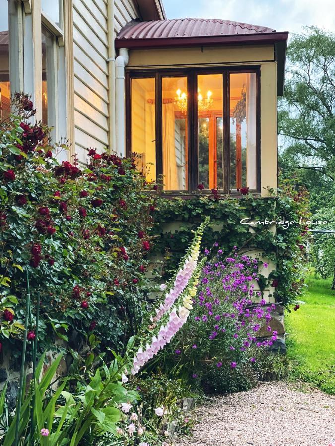 Bed and Breakfast Cambridge House Breakfast & Bed Geeveston Zewnętrze zdjęcie