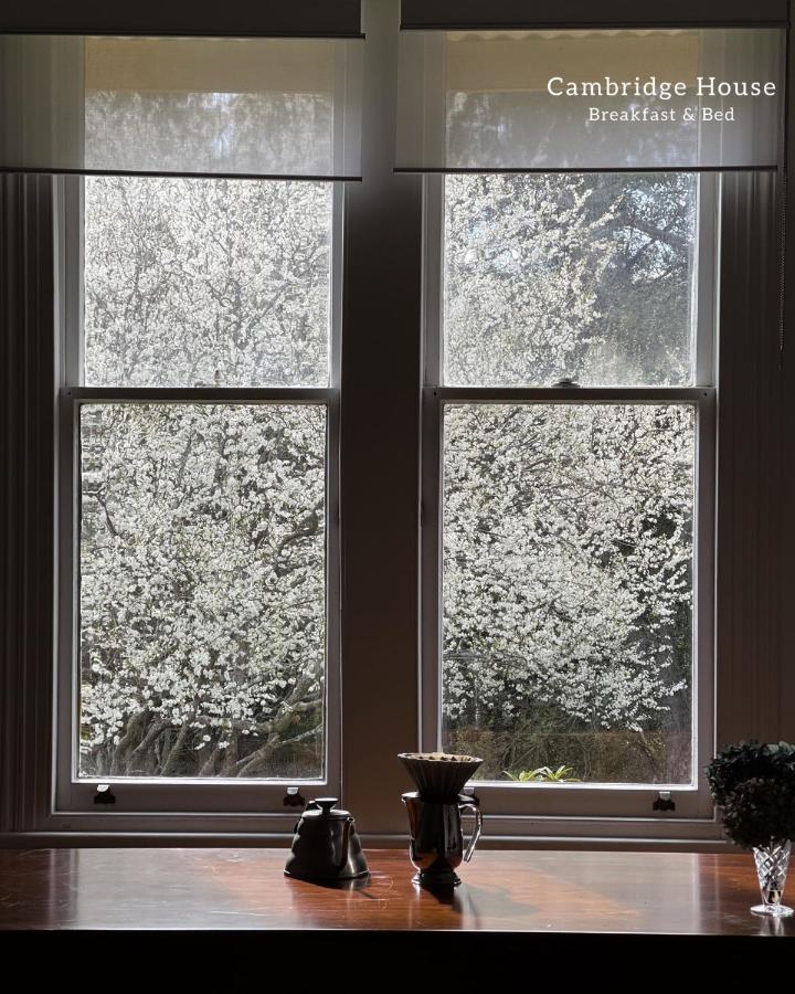 Bed and Breakfast Cambridge House Breakfast & Bed Geeveston Zewnętrze zdjęcie