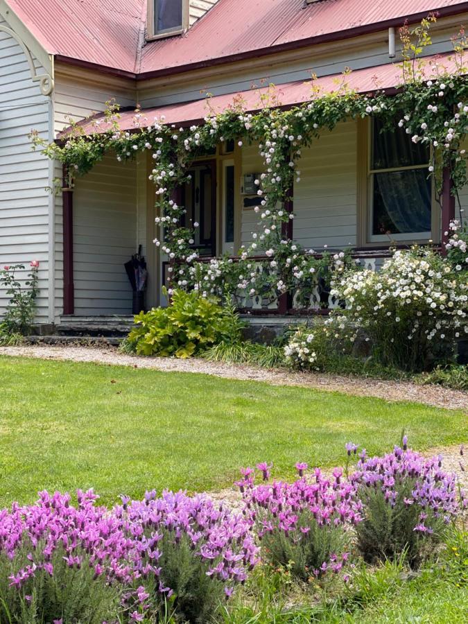 Bed and Breakfast Cambridge House Breakfast & Bed Geeveston Zewnętrze zdjęcie