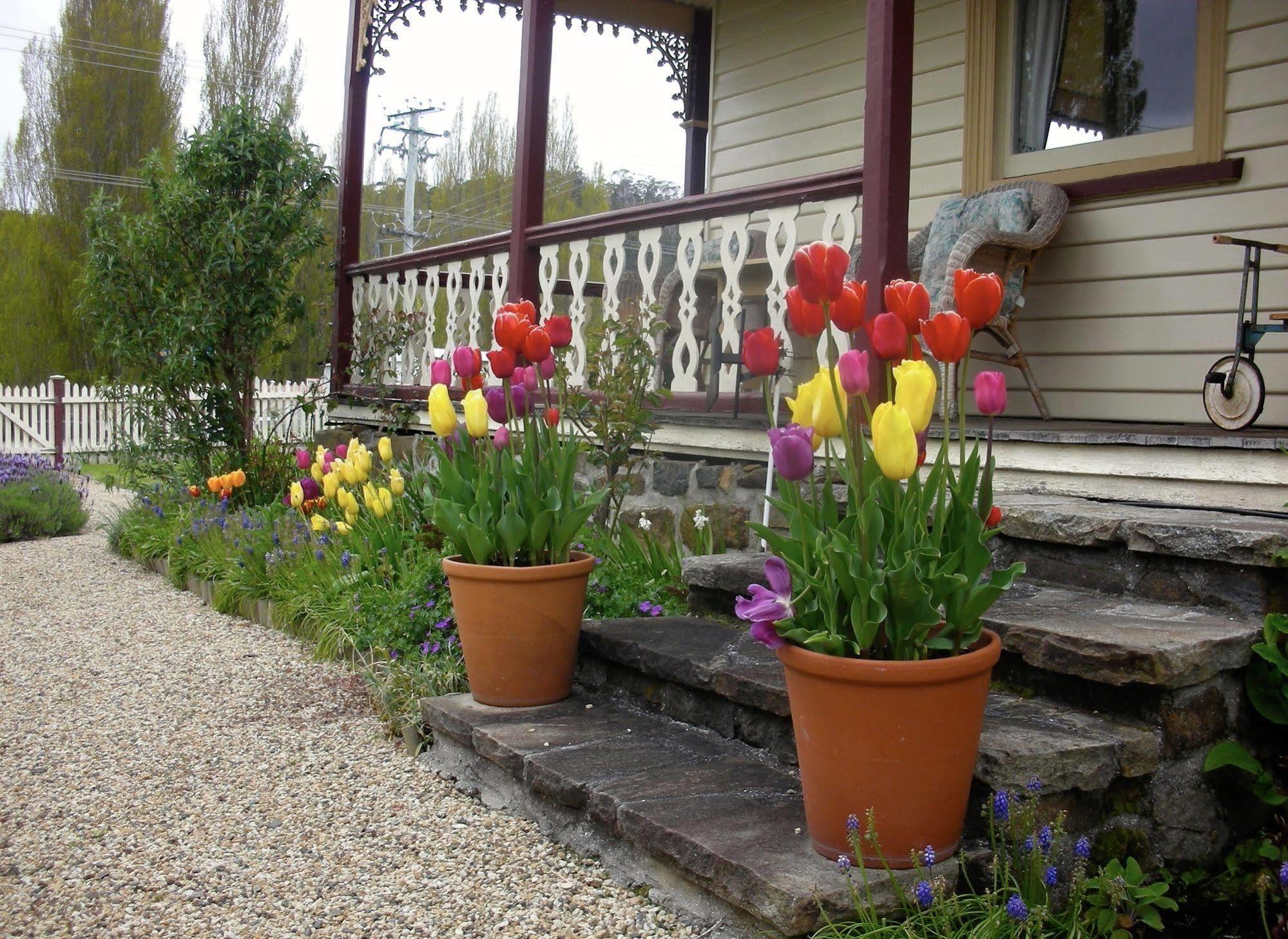 Bed and Breakfast Cambridge House Breakfast & Bed Geeveston Zewnętrze zdjęcie